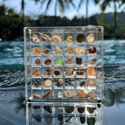 Novo Design Magnético Especimens de conchas de mar Caixa de exibição acrílica Para caixa de armazenamento de jóias